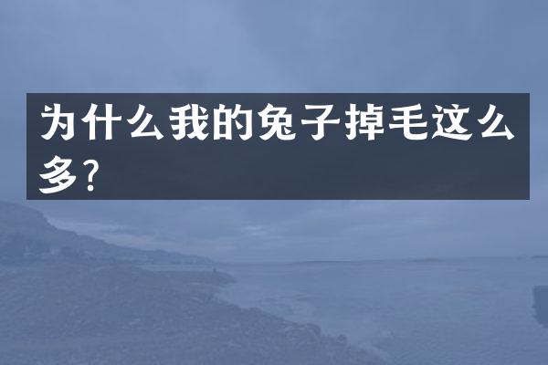 为什么我的兔子掉毛这么多？