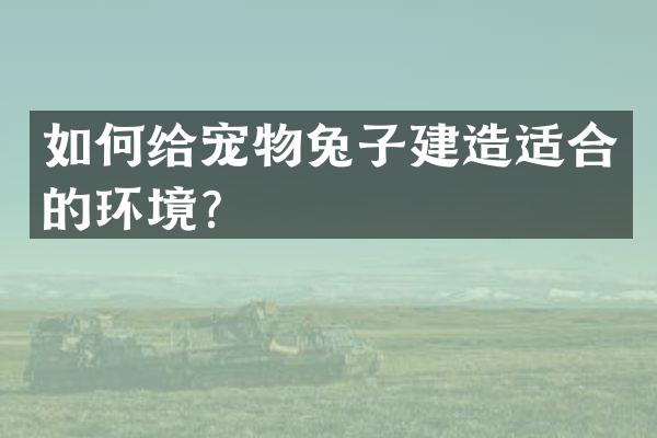 如何给宠物兔子建造适合的环境？