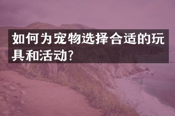 如何为宠物选择合适的玩具和活动？