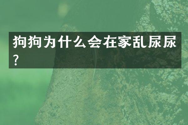 狗狗为什么会在家乱尿尿？