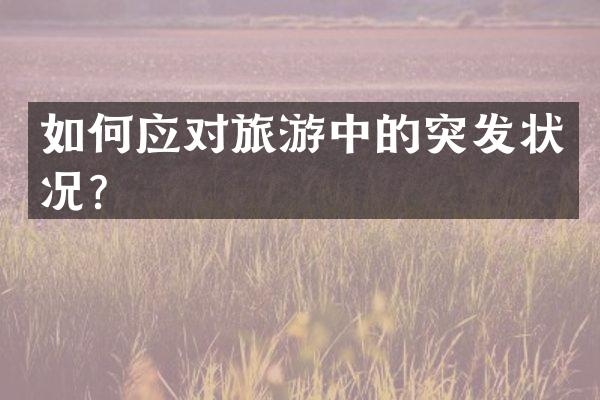 如何应对旅游中的突发状况？