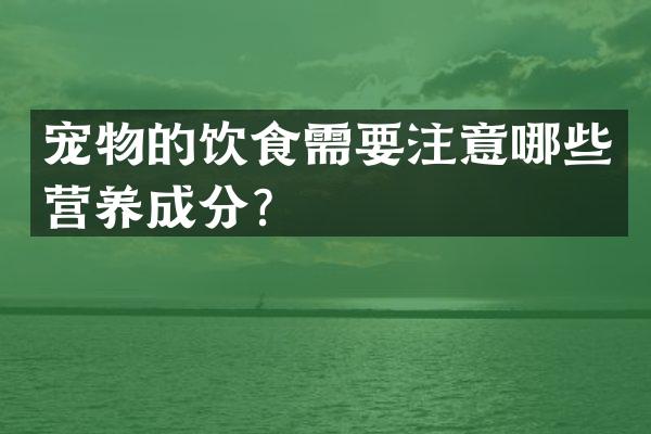 宠物的饮食需要注意哪些营养成分？