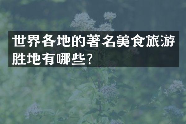 世界各地的著名美食旅游胜地有哪些？