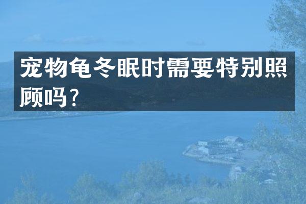 宠物龟冬眠时需要特别照顾吗？