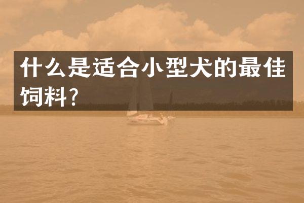 什么是适合小型犬的最佳饲料？