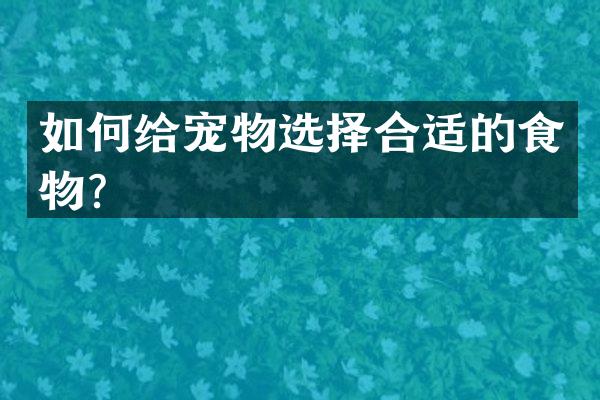 如何给宠物选择合适的食物？