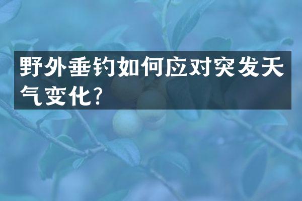 野外垂钓如何应对突发天气变化？