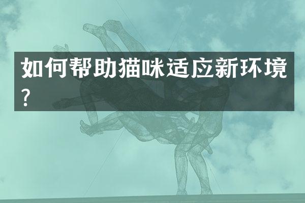 如何帮助猫咪适应新环境？