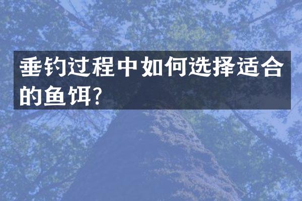 垂钓过程中如何选择适合的鱼饵？