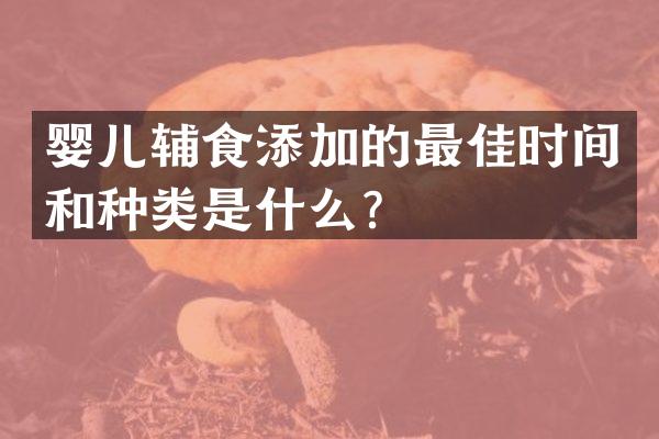 婴儿辅食添加的最佳时间和种类是什么？