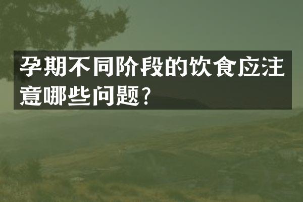孕期不同阶段的饮食应注意哪些问题？