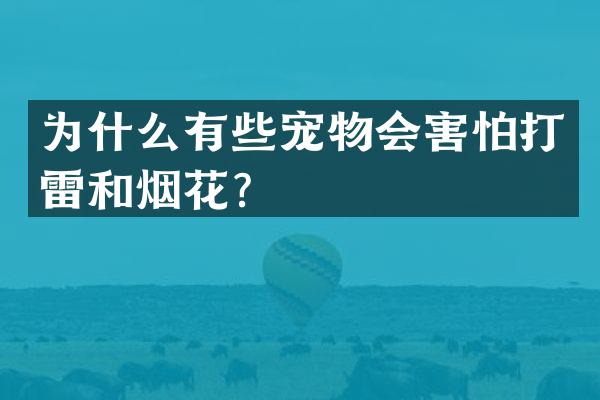 为什么有些宠物会害怕打雷和烟花？