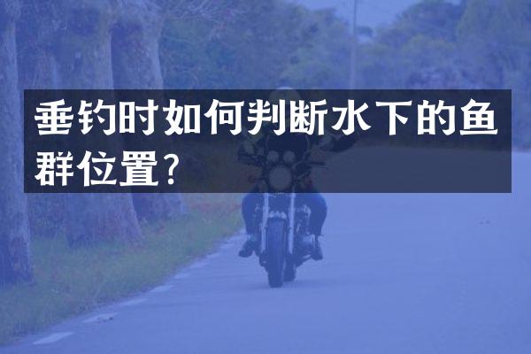 垂钓时如何判断水下的鱼群位置？