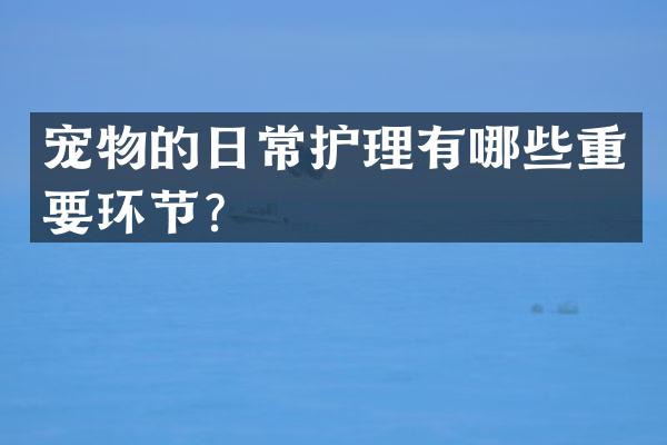 宠物的日常护理有哪些重要环节？