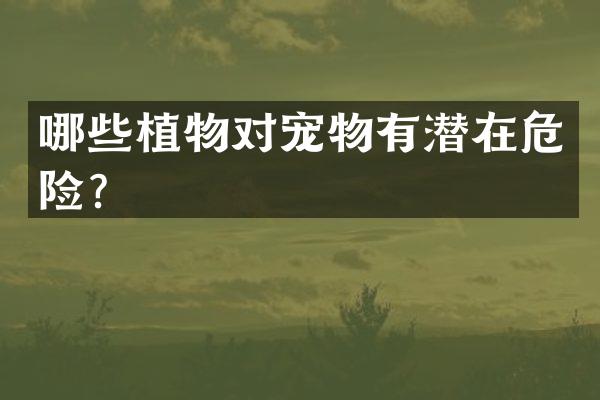 哪些植物对宠物有潜在危险？