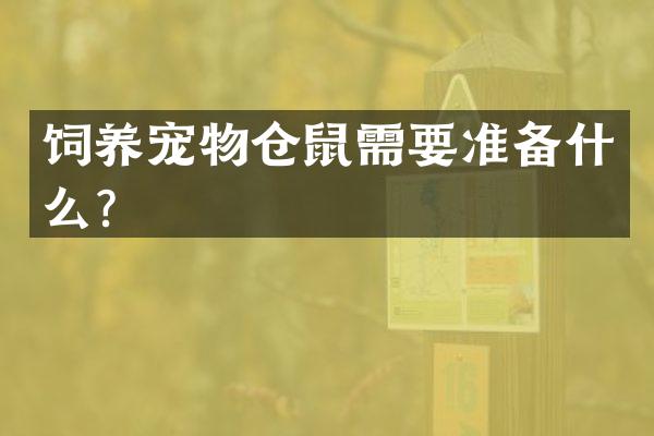 饲养宠物仓鼠需要准备什么？