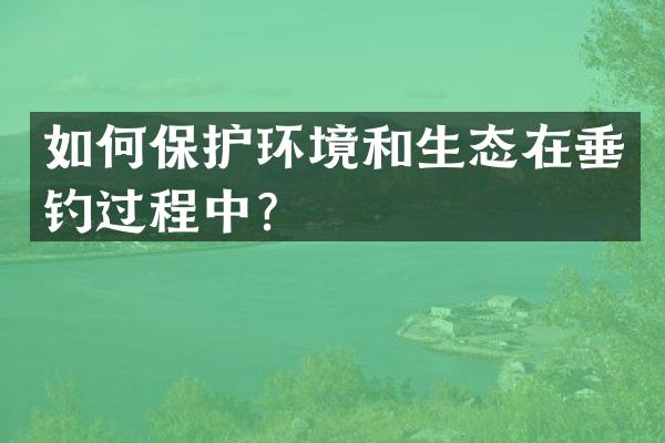 如何保护环境和生态在垂钓过程中？