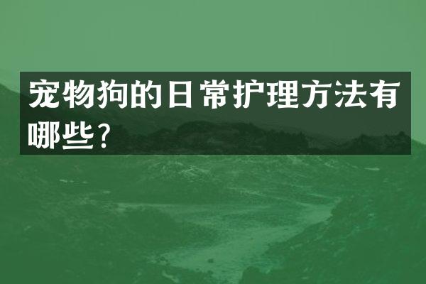 宠物狗的日常护理方法有哪些？