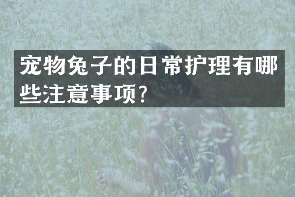 宠物兔子的日常护理有哪些注意事项？