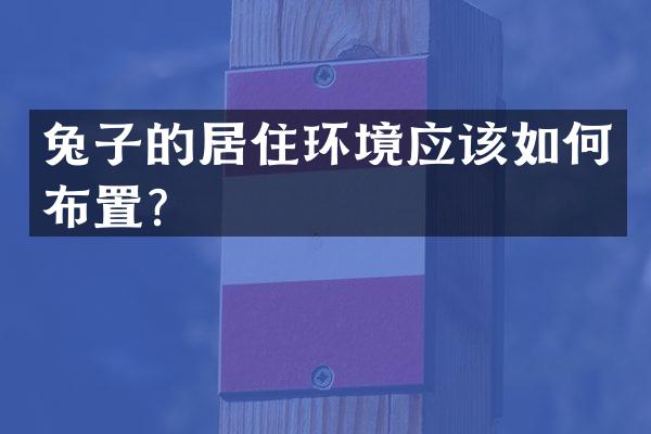 兔子的居住环境应该如何布置？