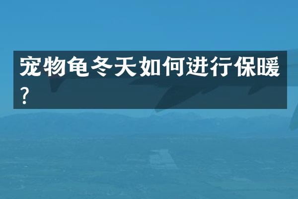 宠物龟冬天如何进行保暖？