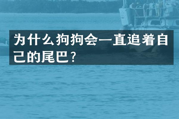 为什么狗狗会一直追着自己的尾巴？