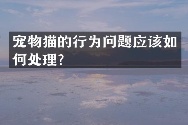 宠物猫的行为问题应该如何处理？
