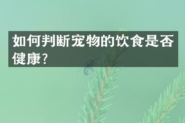 如何判断宠物的饮食是否健康？