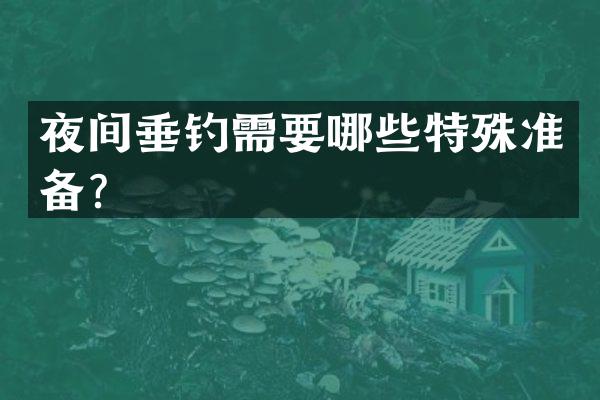 夜间垂钓需要哪些特殊准备？
