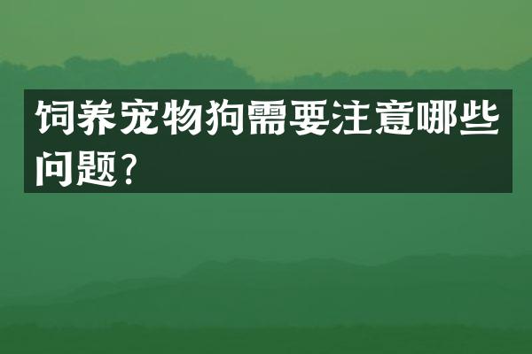 饲养宠物狗需要注意哪些问题？