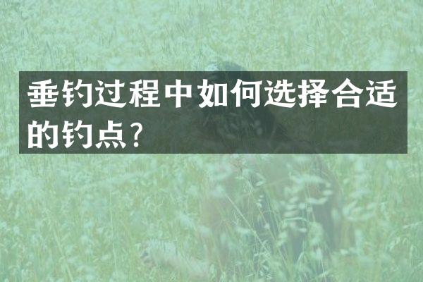 垂钓过程中如何选择合适的钓点？