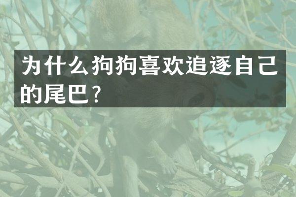 为什么狗狗喜欢追逐自己的尾巴？