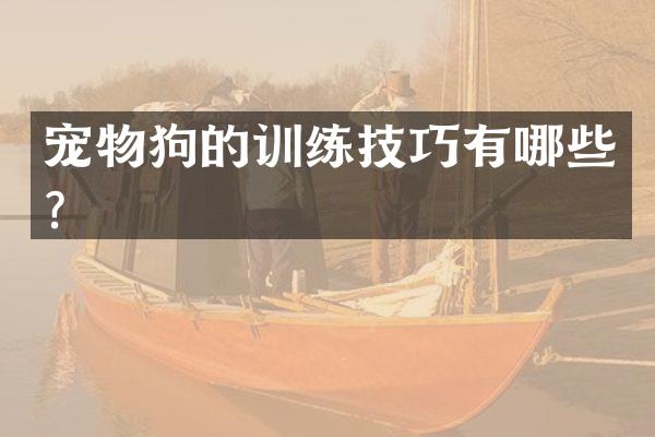 宠物狗的训练技巧有哪些？