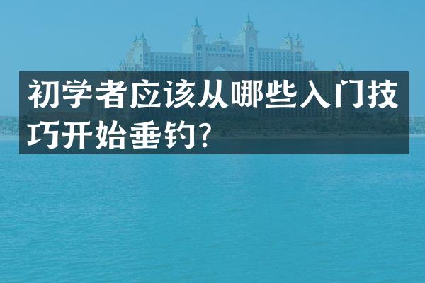 初学者应该从哪些入门技巧开始垂钓？
