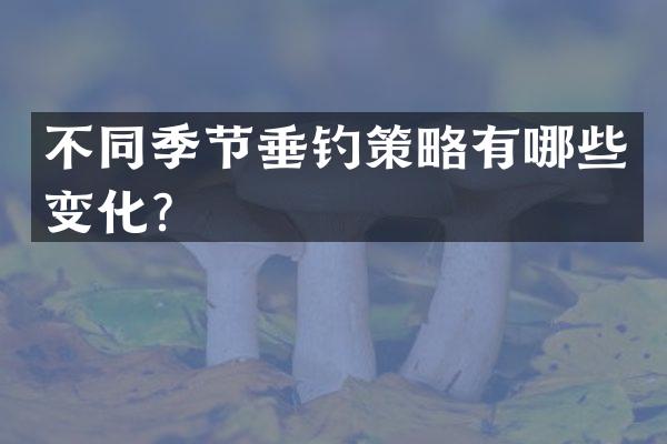 不同季节垂钓策略有哪些变化？