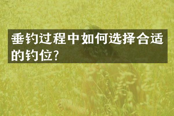 垂钓过程中如何选择合适的钓位？