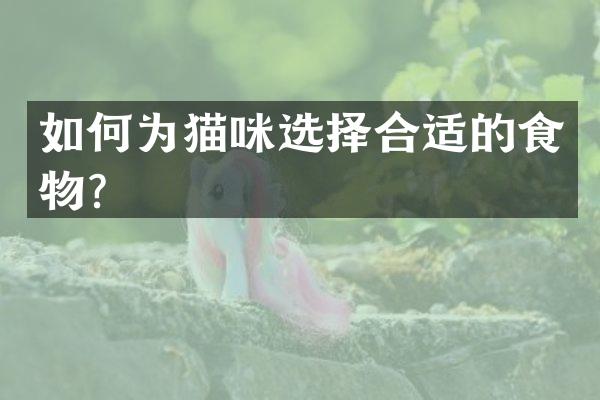 如何为猫咪选择合适的食物？