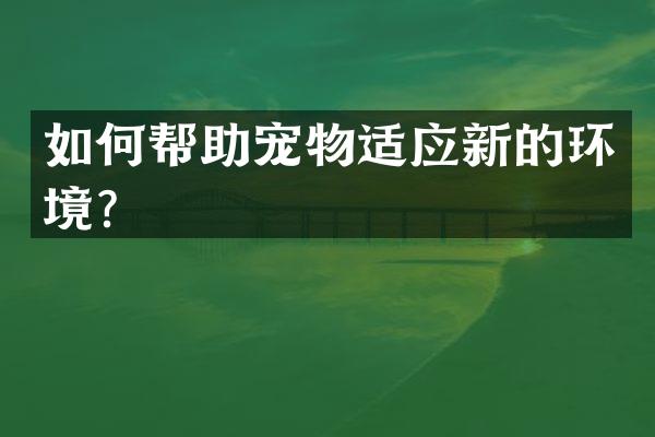 如何帮助宠物适应新的环境？