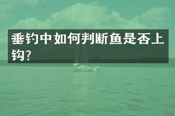 垂钓中如何判断鱼是否上钩？