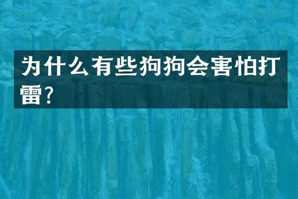为什么有些狗狗会害怕打雷？