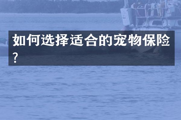 如何选择适合的宠物保险？