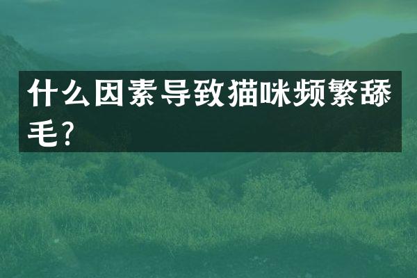 什么因素导致猫咪频繁舔毛？