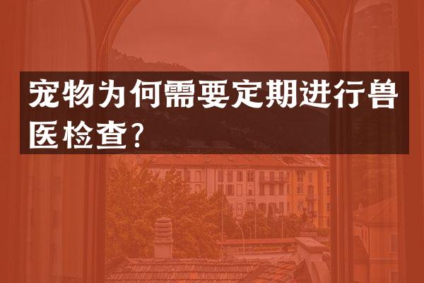 宠物为何需要定期进行兽医检查？