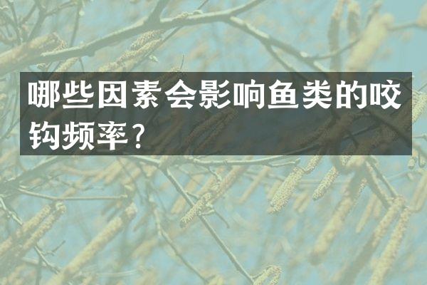 哪些因素会影响鱼类的咬钩频率？