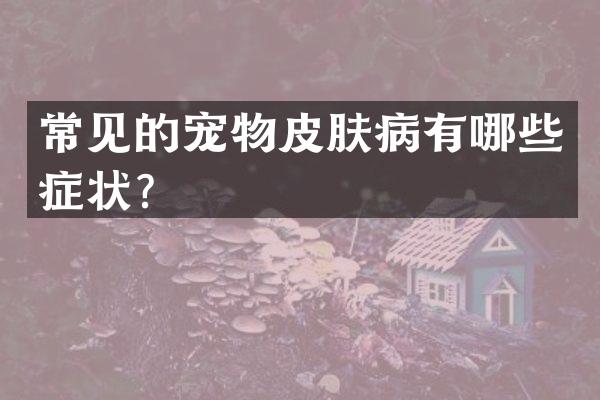 常见的宠物皮肤病有哪些症状？