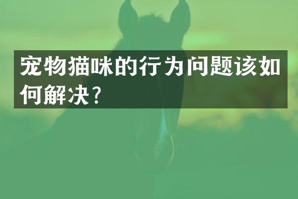 宠物猫咪的行为问题该如何解决？