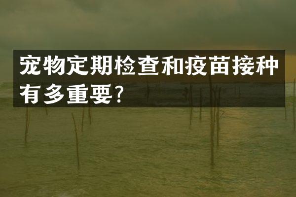 宠物定期检查和疫苗接种有多重要？