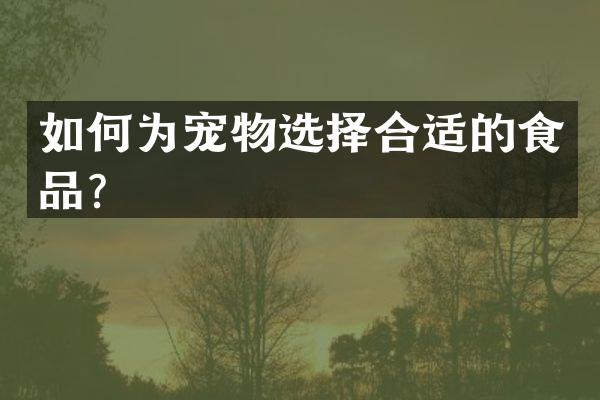 如何为宠物选择合适的食品？