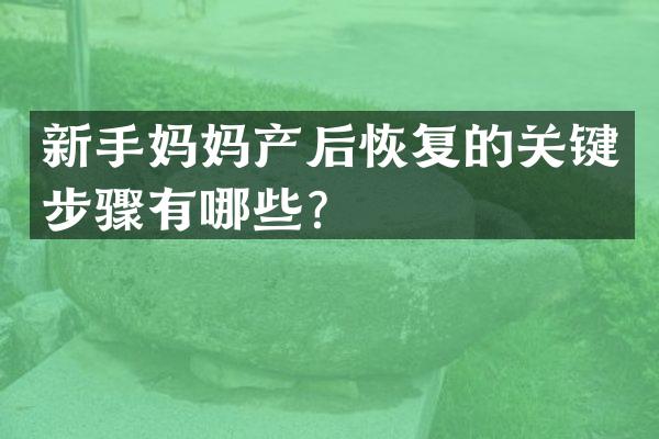 新手妈妈产后恢复的关键步骤有哪些？