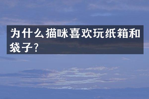 为什么猫咪喜欢玩纸箱和袋子？